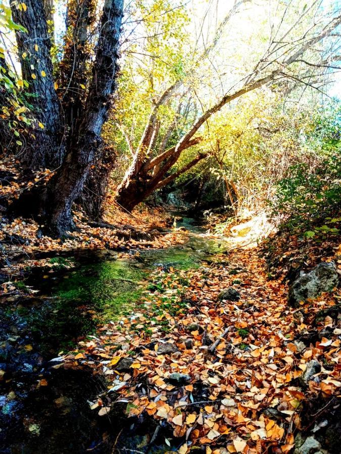 Alojamiento Rural Los Gancheros Траґасете Екстер'єр фото