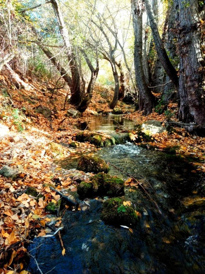 Alojamiento Rural Los Gancheros Траґасете Екстер'єр фото