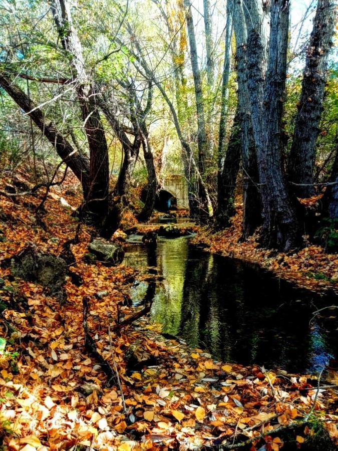 Alojamiento Rural Los Gancheros Траґасете Екстер'єр фото