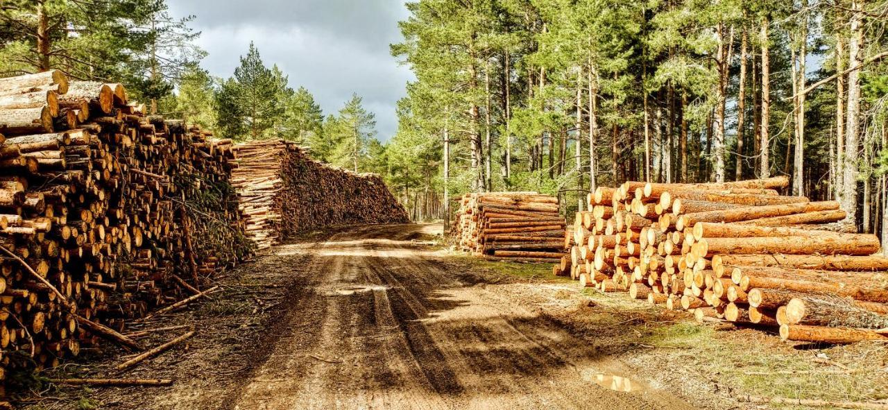 Alojamiento Rural Los Gancheros Траґасете Екстер'єр фото