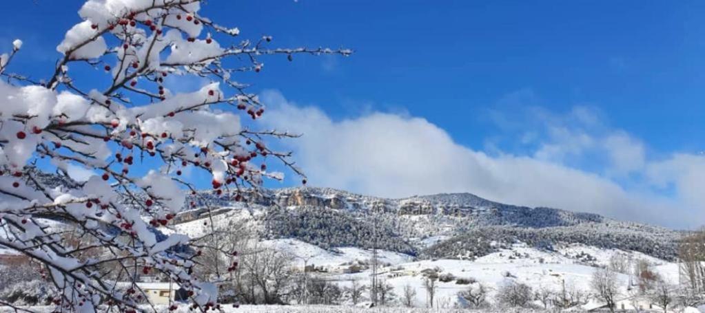 Alojamiento Rural Los Gancheros Траґасете Екстер'єр фото