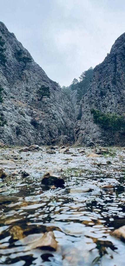 Alojamiento Rural Los Gancheros Траґасете Екстер'єр фото