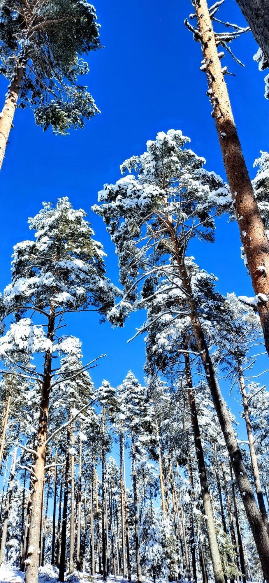 Alojamiento Rural Los Gancheros Траґасете Екстер'єр фото