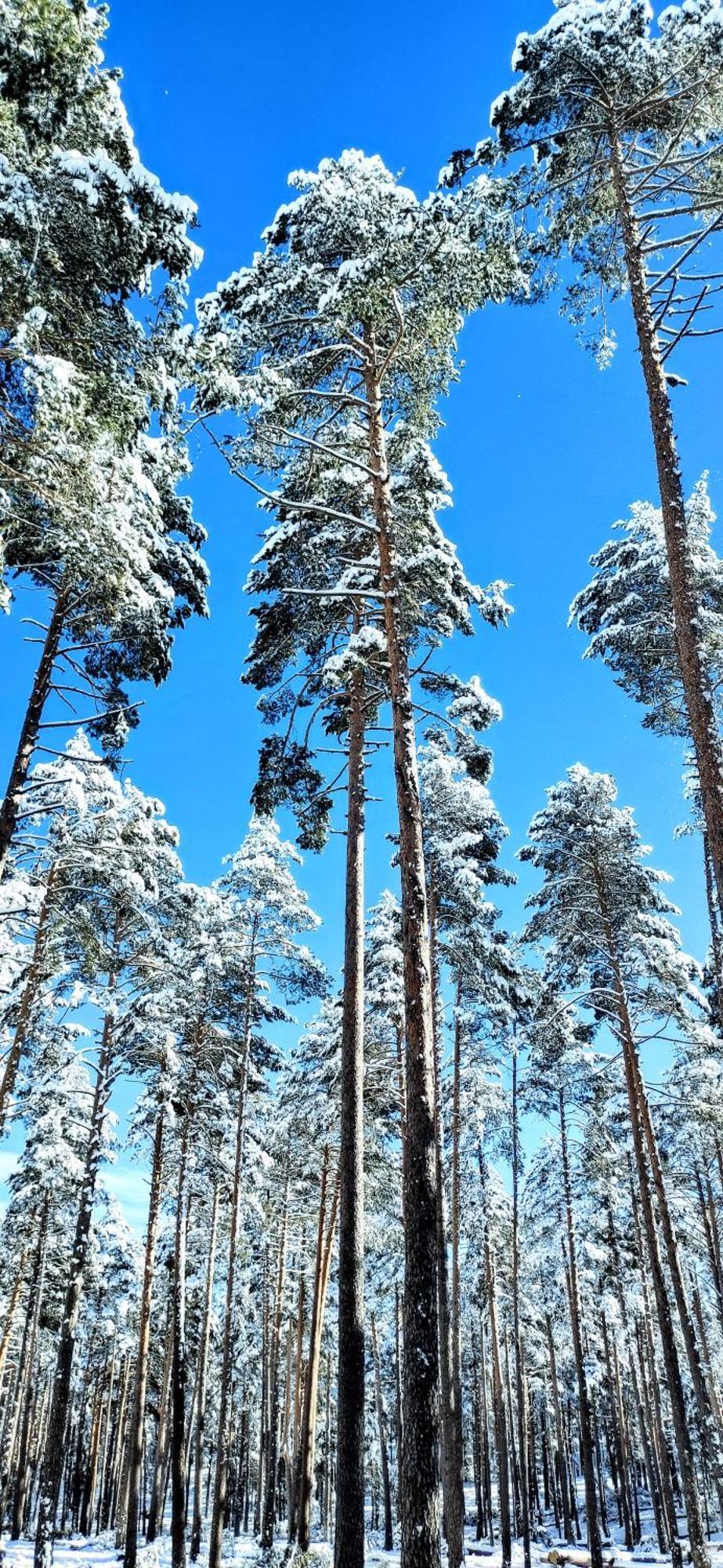 Alojamiento Rural Los Gancheros Траґасете Екстер'єр фото