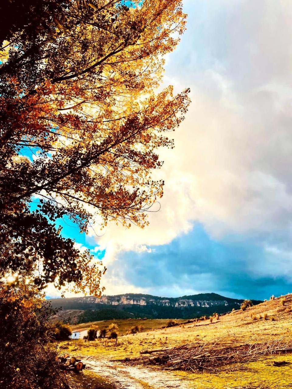 Alojamiento Rural Los Gancheros Траґасете Екстер'єр фото